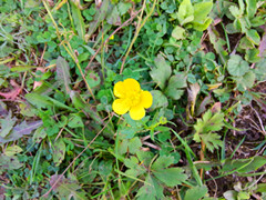 IMG20140823095335_.jpg