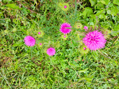 IMG20140823075356_.jpg