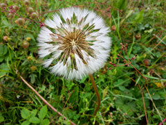 IMG20140823075312_.jpg