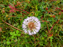 IMG20140823075307_.jpg