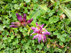IMG20140823073831_.jpg