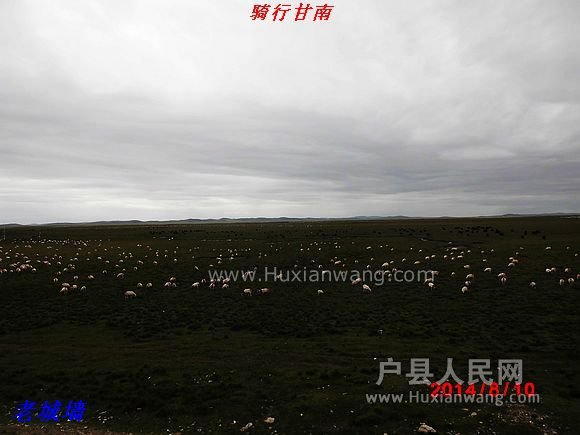 nEO_IMG_DSCI0350.jpg
