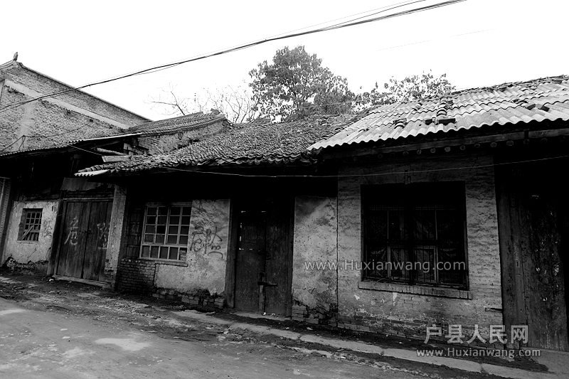 DSC_1475.JPG