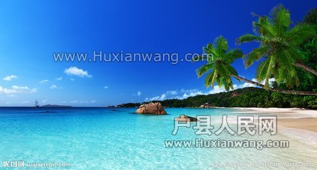 羰.jpg