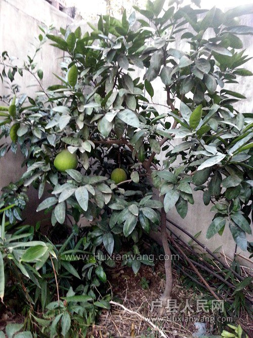 20141112_171437.jpg