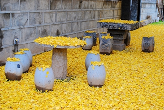 DSC_1516.JPG