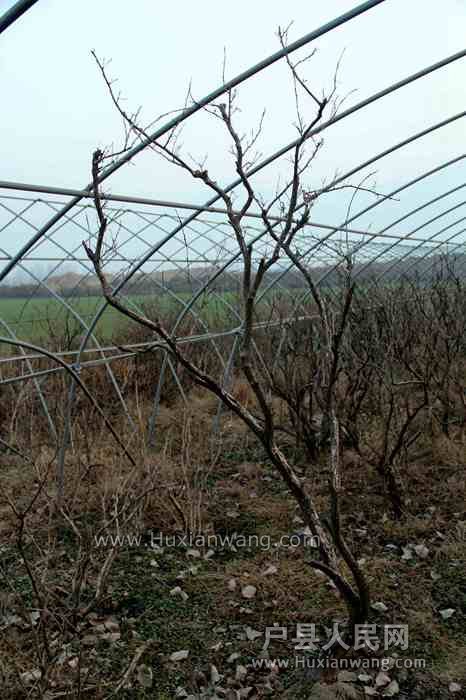 կ԰ 004.jpg