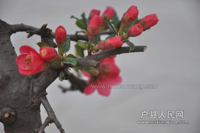 20150216093342.jpg