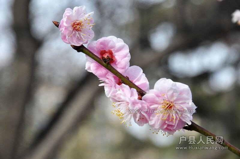 20150216093243.jpg