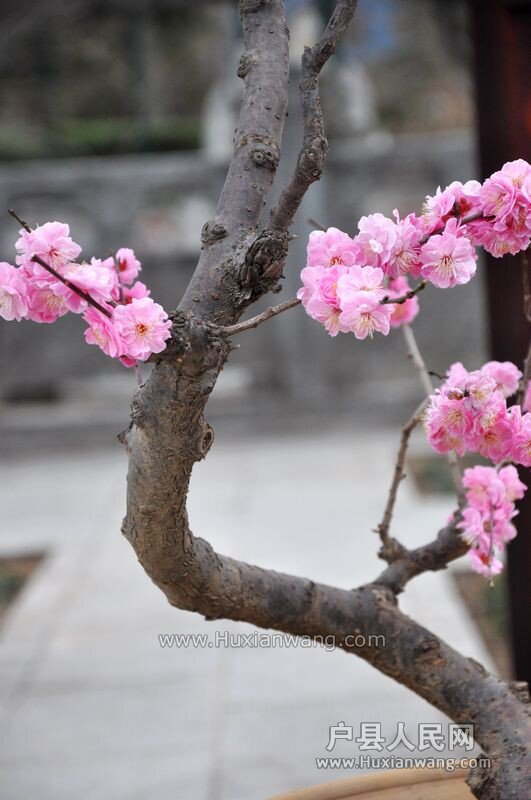 20150216093310.jpg