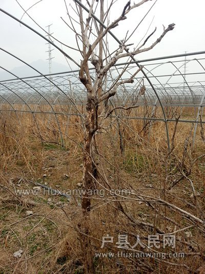 20150226_131537.jpg