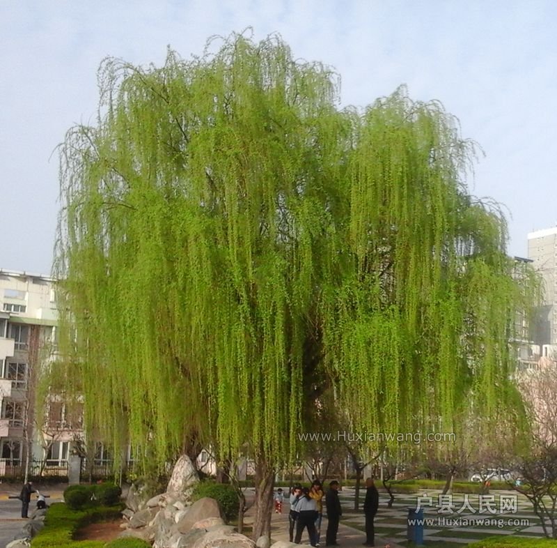 20150320_162202.jpg