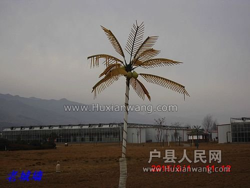 nEO_IMG_DSCI2937.jpg