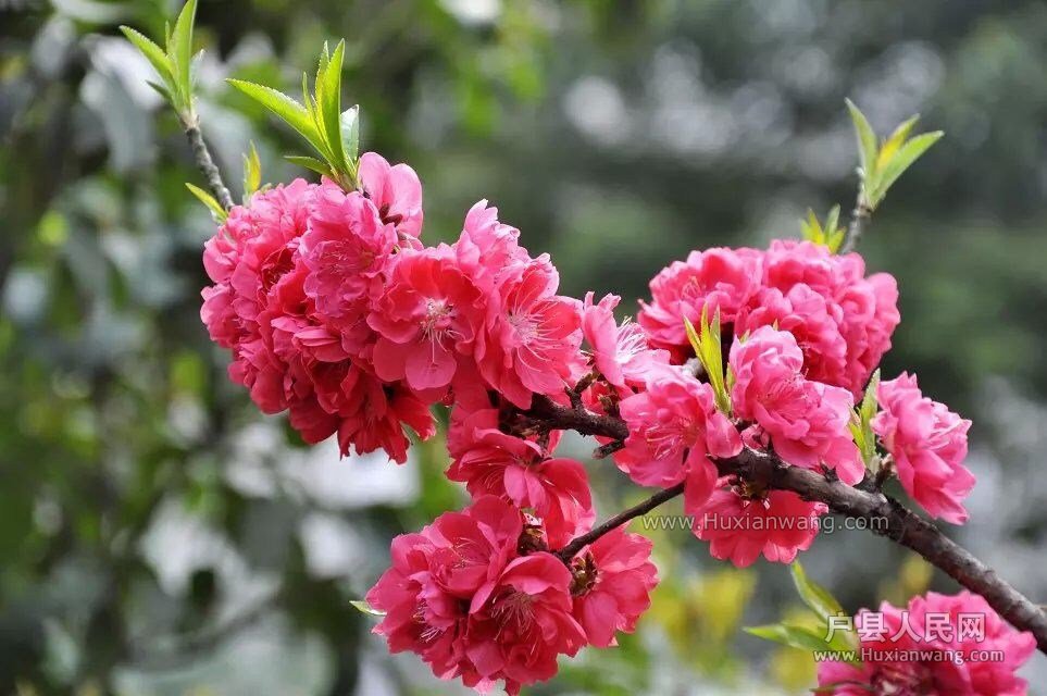 20150407090540.jpg