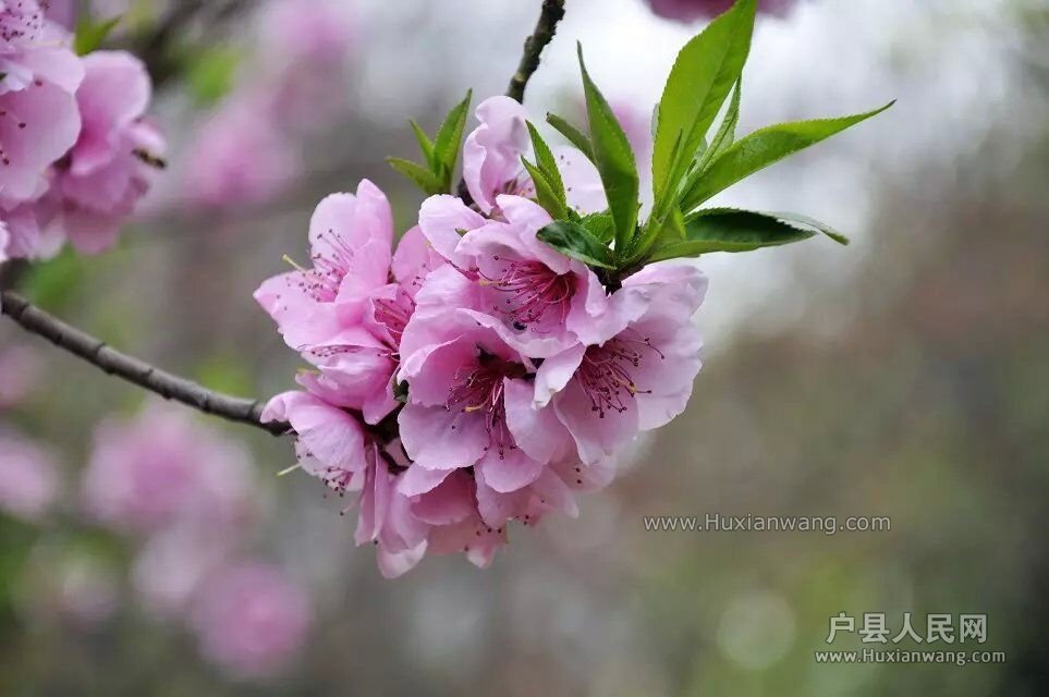 20150407090603.jpg