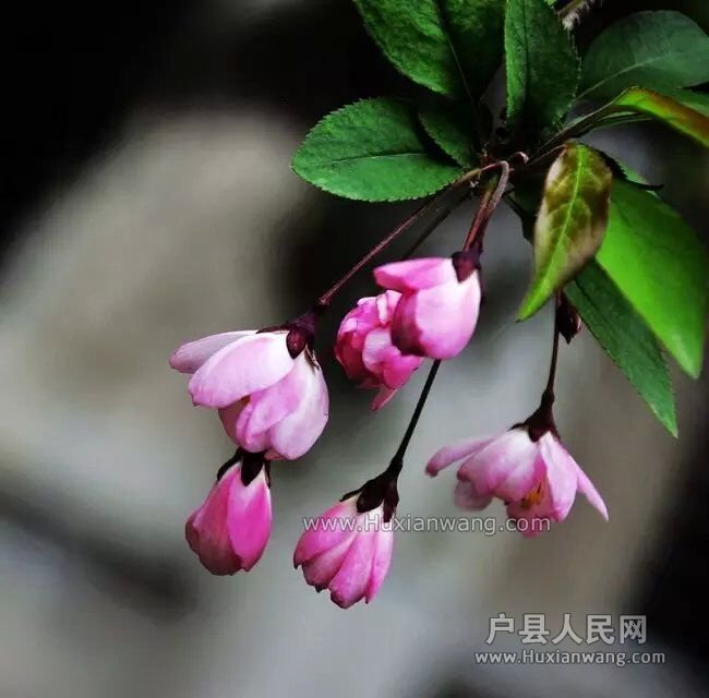 20150407090637.jpg