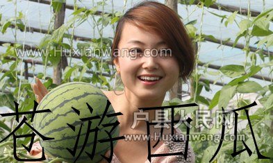 t012410ef615b7cdbc4.jpg