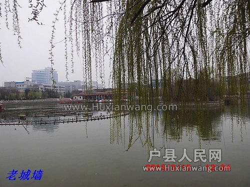 nEO_IMG_DSCI3351.jpg