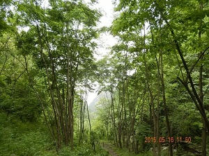 psb (11).jpg