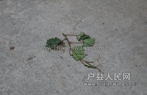 SB6A0859.JPG