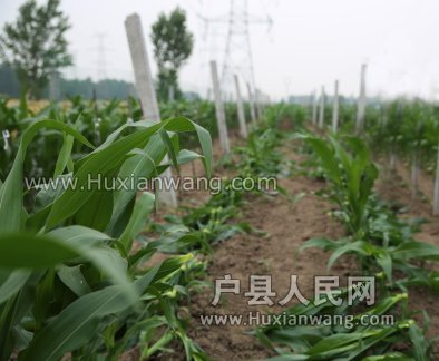 SB6A0865.JPG