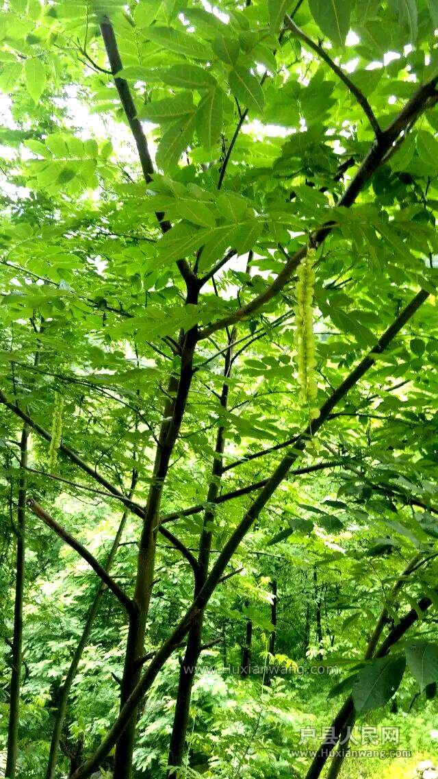 20150602090930.jpg