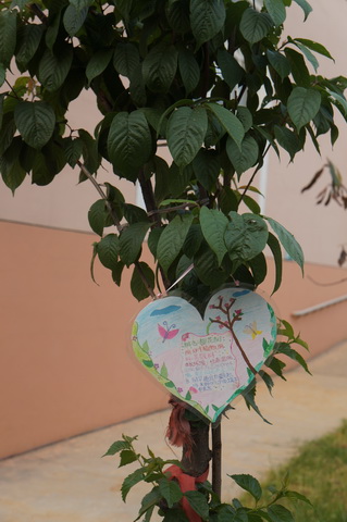 DSC00010_С.JPG