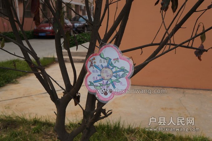 DSC00011_С.JPG
