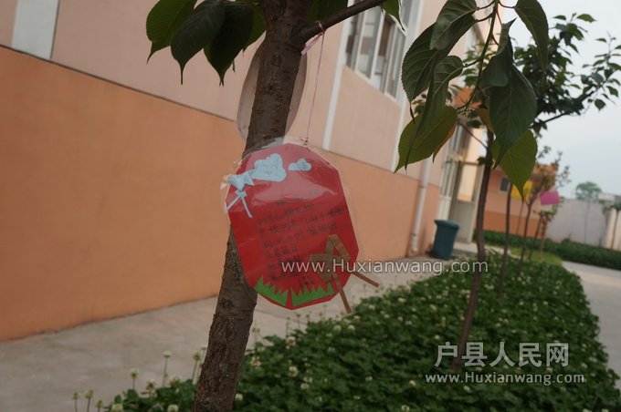 DSC00017_С.JPG
