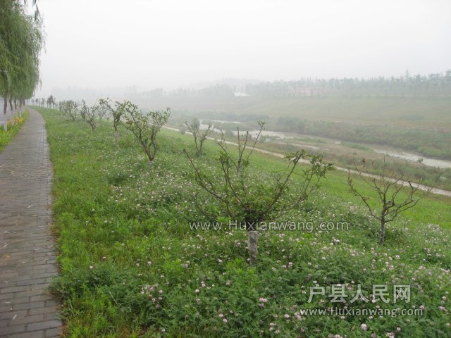 2015 034.jpg