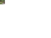 IMG_20150630_194401.gif