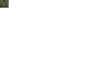 IMG_20150630_194421.gif