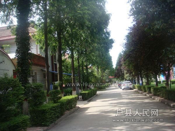 DSC08237_.jpg