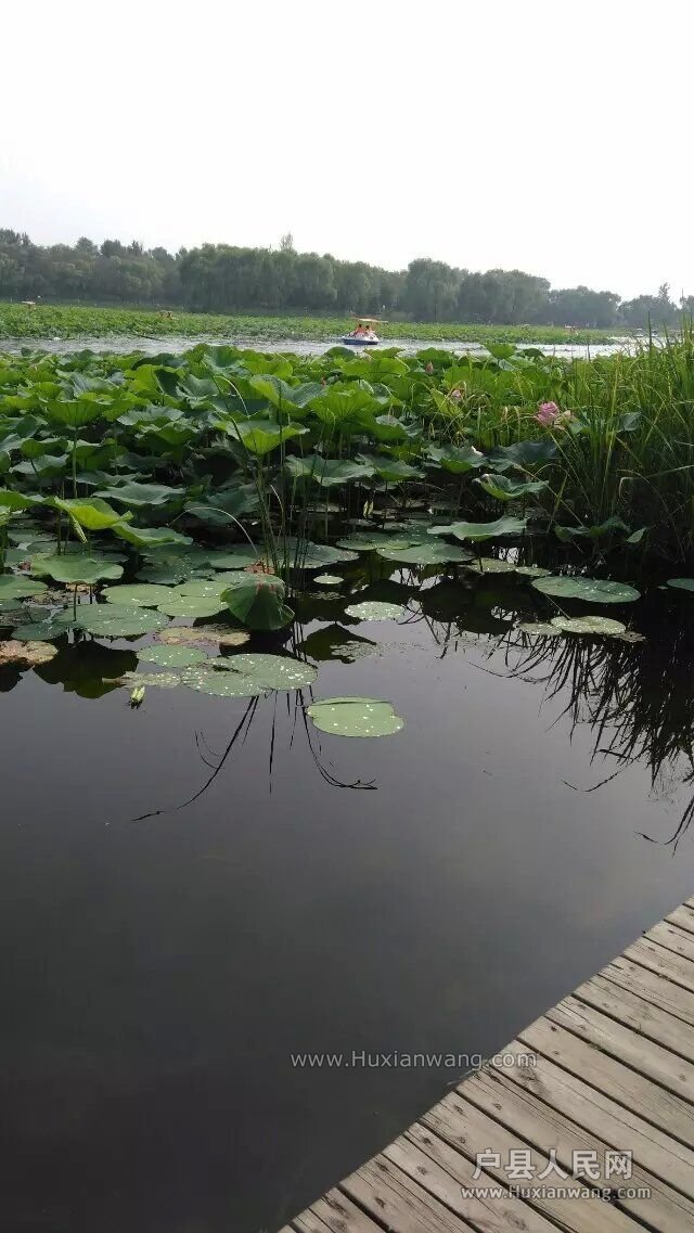 20150802063128.jpg