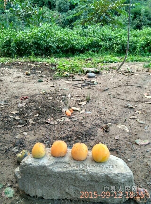 03.jpg