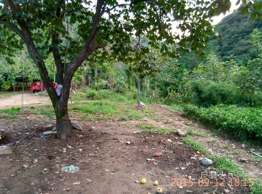 05.jpg