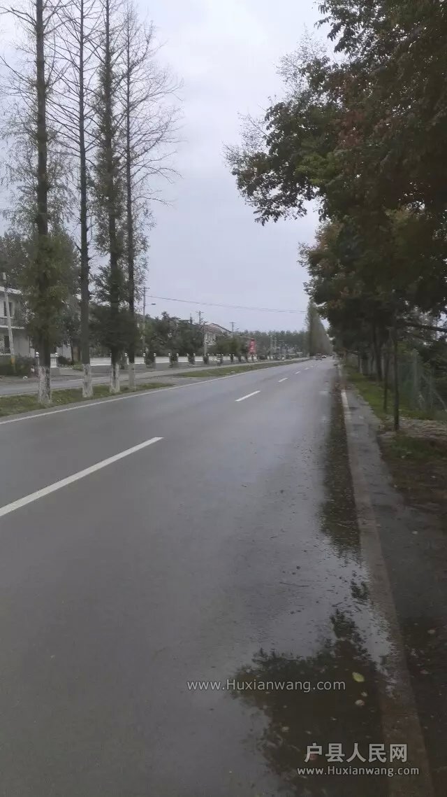Ӷ
