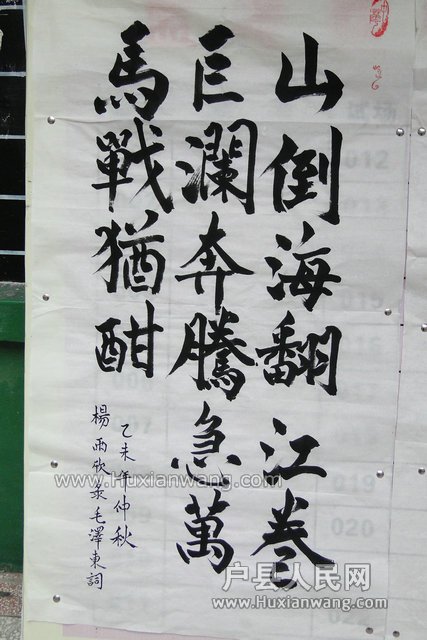 DSC01920.jpg