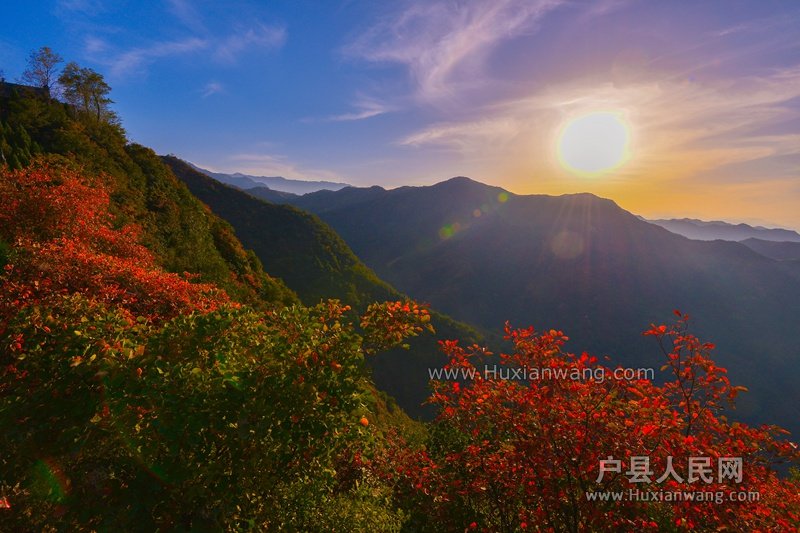 DSC_8027-2_.jpg