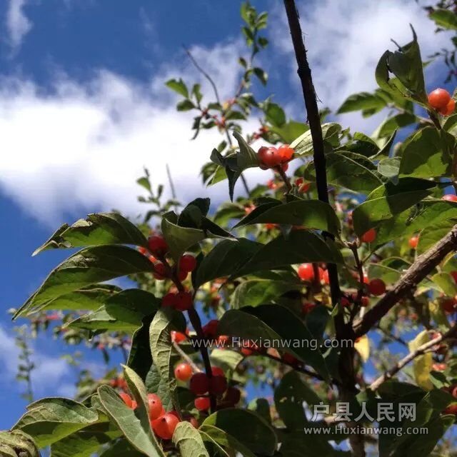 QQͼƬ20151014105149.jpg