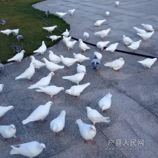 QQͼƬ20151018110717.jpg