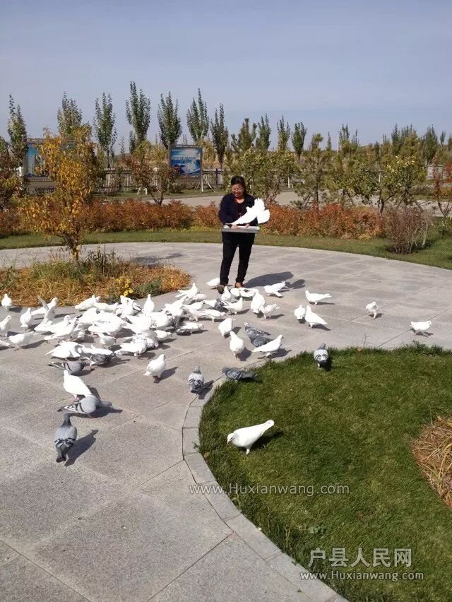 QQͼƬ20151018110912.jpg