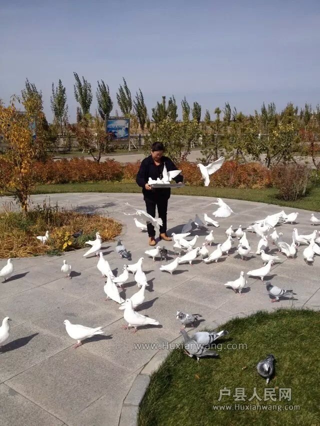 QQͼƬ20151018111201.jpg