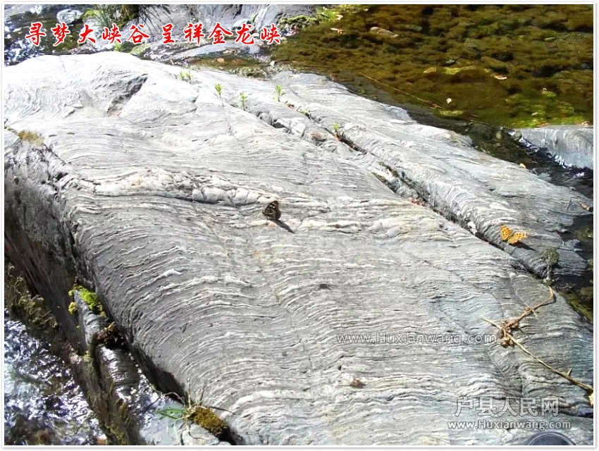 psb.webp (1).jpg psb.webp (1).jpg