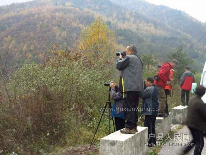 QQͼƬ20151026101639.jpg