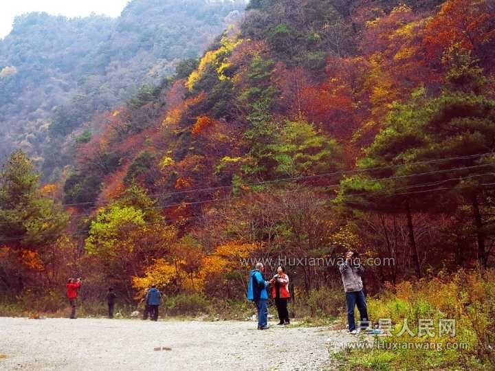 QQͼƬ20151026101411.jpg