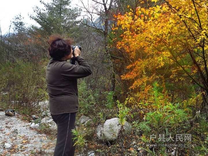 QQͼƬ20151026101601.jpg