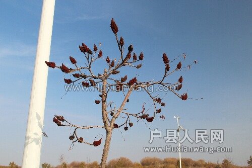 IMG_9922.JPG