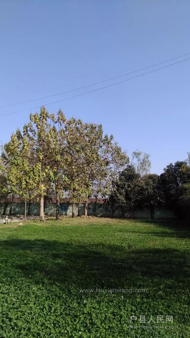 QQͼƬ20151129093159.jpg