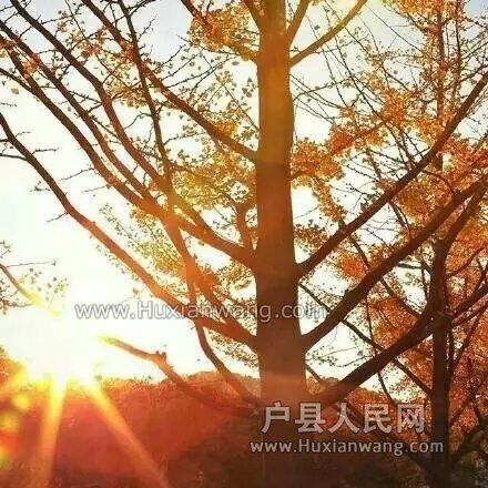 QQͼƬ20151129093320.jpg